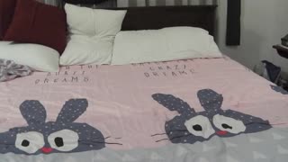 Indian wife sneaks handjob with hotel boy 😈🔥