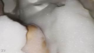 เอ่อ หน้าอกใหญ่เหล่านี้ดูน่าทึ่งมากเลยใช่มั้ย?