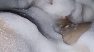 مرحبا، أليس هذه الثدي الكبير مذهلة للمشاهدة؟