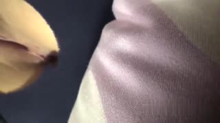 Гаряча азійська красуня божеволіє у нецензурованій дії