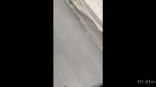 ki-sim sucking off a stranger on the street not fake