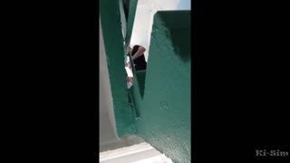 ki-sim sucking off a stranger on the street not fake