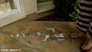 Jazmin Luna Gold with Ian Scott and David Perry in euro outdoor babe scene