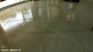 Jazmin Luna Gold with Ian Scott and David Perry in euro outdoor babe scene