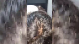 ทำการบ้านกับสาวซุกซนที่สุดในโรงเรียน เธอติดกินน้ำเงี่ยน!