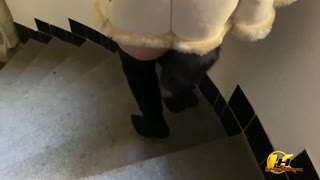 MILF с большими сиськами и лисьим хвостом на лестнице в здании