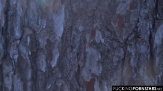 Star porno latină venezueleană suge explicit pula mare unui mascul în pădure publică