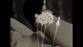 Intense Interracial Threesome in Vintage Style