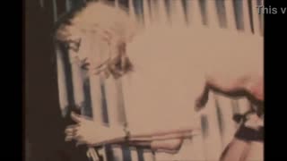 سكس جماعي عنصري عنيف بأسلوب قديم