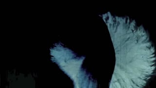 تبو قدیمی کوس و پوتش