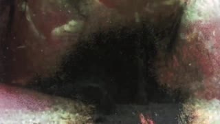 Vintage Taboo, Fitte og Pooch