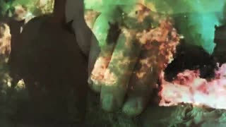 Vintage Taboo, Pussy & Pooch