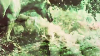 Vintage Taboo, Pussy & Pooch