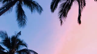 朋友女友发现背叛献屁眼处女直奔100%肛交Vagninho和Kel Aguiar！