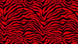 ¡Oye, quién dominó la batalla de culos grandes - petite 18+ o reina gruesa?