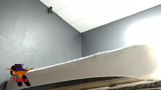 Curvy Woman with Huge Ass and Tits Devours Thick Cock