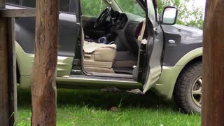 i catch these chubby milfs with big butts getting wild outdoors on hidden cam