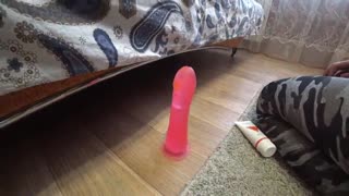 Aman Tanrım, O Muhteşem Kalça Beni Delirtiyor! Olgun Milf POV Ev Fetişi Amatör Derleme PAWG