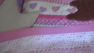 Bruneta Violet Viper suge și futere pulă groasă ejaculează des