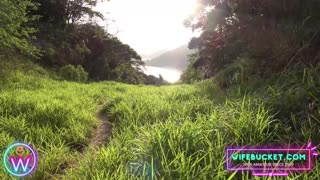 偷窥自拍巴西业余情侣户外激情做爱狂干全过程