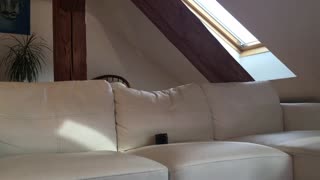 big tits party tease with nikky dream, katerina hartlova and teri sweet