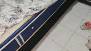 I take a pretty young woman to my house to record