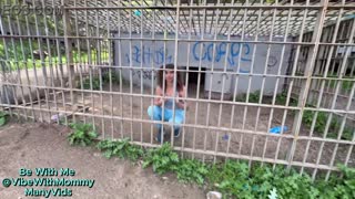 Bold milf anal creampie blowjob cumshot gangbang compilation