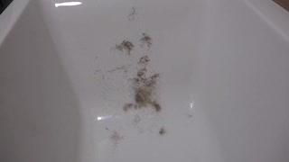 "shaving my hairy pussy with a clipper, trimming the bush from my mature cunt for an amateur fetish asmr session."