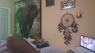 یار، نائی جے اپنی چوت دیکھتے ہوئے لیزبین پورن دیکھتی ہوئی رگڑ رہی ہے!