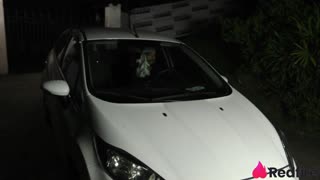 طلب بياتريز سampaio الfetish لنيك شرجي عميق قاسي