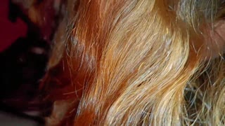 彼女は精液を渇望しパーティー後に全て飲み込んだセックス動画