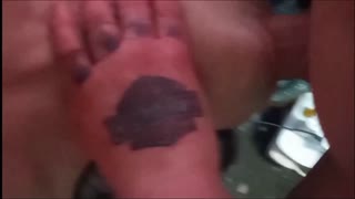 Topp svelg-action høydepunkter fra 2024