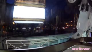 헝가리 억양 - 포르노 비디오의 동유럽 매력