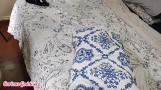 curious woman with big ass small tits gives footjob on hairy pussy