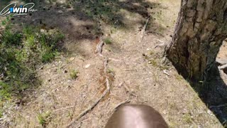 Pretty slut rides dick close-up then takes doggie creampie outdoors