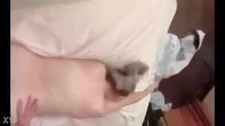 Blond Milf z Monterrey prezentuje swoje krągłości