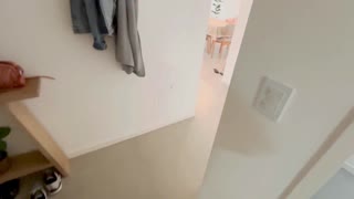 Sesso ragazza tette grandi cavalca e succhia forte in azione casalinga selvaggia