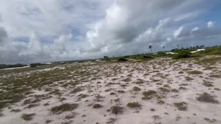 I ventured into the sandy desert for some WILD PUTARIA with my stunning Latina pals