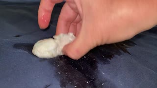 hairy ass takes anal creampie gaping wide closeup 4k hd