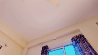 TRE sexede piger deler deepthroat fisseknep og anal creampie hjemmelavet