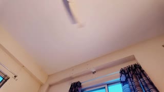 Три сексуални момичета споделят дълбоко гърло, чукане на путки и анален кремпай