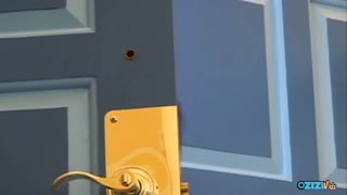 火辣拉丁熟女深喉BBC双插颜坐三人狂欢