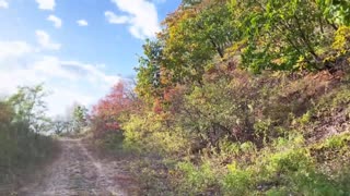 Tengok atlet dapat anal intens liar di taman bandar awam, OMG!