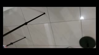 Francesa amadora couro preto: lambem cu, boquete e palmadas POV