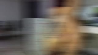 Han ga meg sin perfekte rumpe å leke med under matlaging