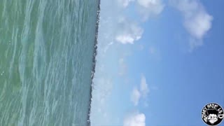 Lil d slaps valerie kay fat ass on jetski part 1!