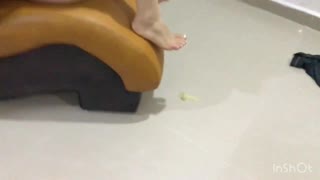 Jeg rir Andy Z 94s store kuk lidenskapelig i rå kamasutra på stol, gagger og hopper røven