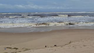 im the cuckold showin off her hairy pussy on street beach market lettin every1 see everythin..