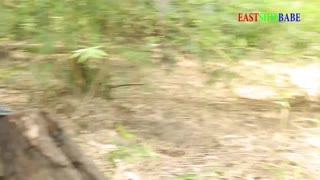 Вау! Який дикий цей квартетний мінет з BBC та BBW на вулиці?