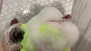 i jumped in the shower with his throbbing bbc n stroked that big dick till cum exploded everywhere